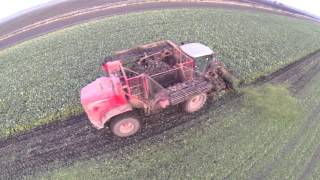 Lincolnshire Sugar beet harvesting shot around sunset