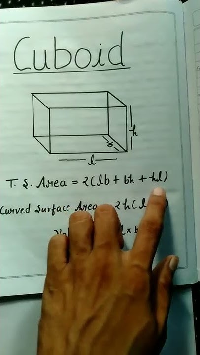 Total Surface And Curved Surface Area of Cuboid | Mensuration formulas ...