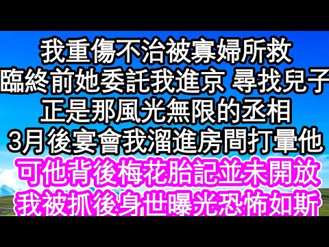 我重傷不治被寡婦所救，臨終前她委託我進京 尋找兒子，正是那風光無限的丞相，3月後宴會我溜進房間打暈他，可他背後梅花胎記並未開放，我被抓後身世曝光恐怖如斯| #為人處世#生活經驗#情感故事#養老#退休