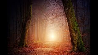 Fairy Tale Part 2 | Soft Piano Music | Original Composition | screenshot 3