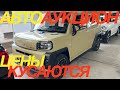 ЯПОНЦЫ СОВСЕМ ПОПУТАЛИ С ТАКИМИ ЦЕНАМИ VOLKSWAGEN GOLF VARIANT DAIHATSU TAFT MITSUBISHI RVR BMW X2