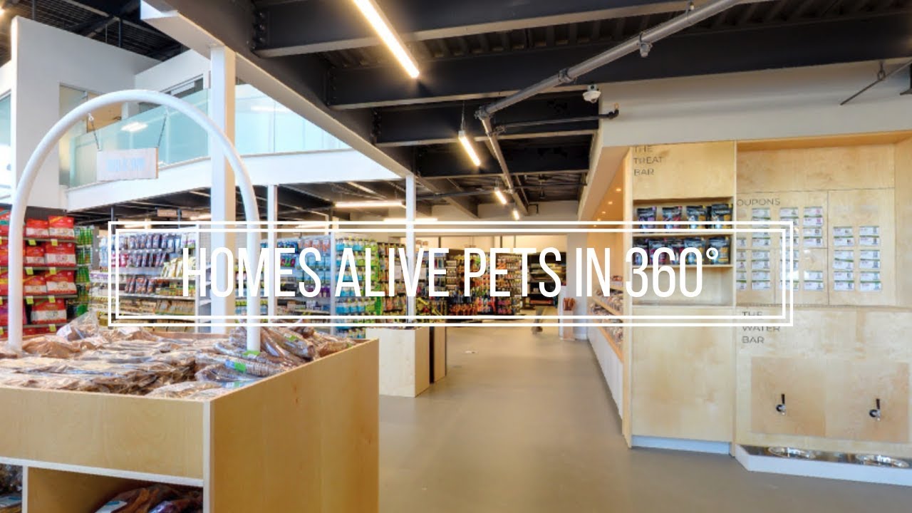 Homes Alive Pets on Google Street View in 360° YouTube