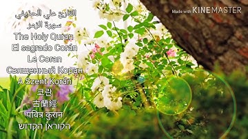 القارئ علي الحذيفي سورة الزمر HD