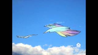 Cloudtoons App Cloud Class 83 Flyby
