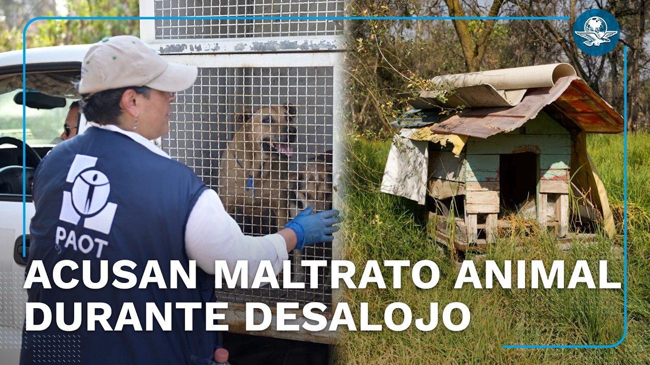 Polémica en CDMX por retiro de animales del Refugio Franciscano
