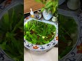 This aquatic plant that can purify water is truly amazing! #algaetech