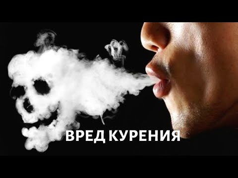 Табак. Вопросы выживания