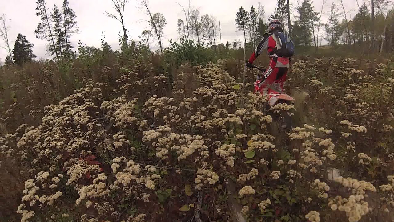 Akeley MN Trail Ride YouTube