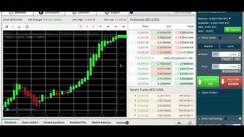 How to Leverage Trade- BitSeven Directional Trading - Beginner Sessions