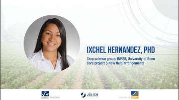 Improving Agro-Ecosystem Models to Explore the Dynamics of Newly Diversified Field Arrangements