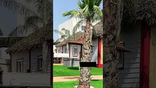 Los 10 mejores CAMPINGS DE ESPAÑA  #Shorts