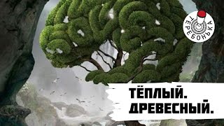 Тёплый древесный стрим