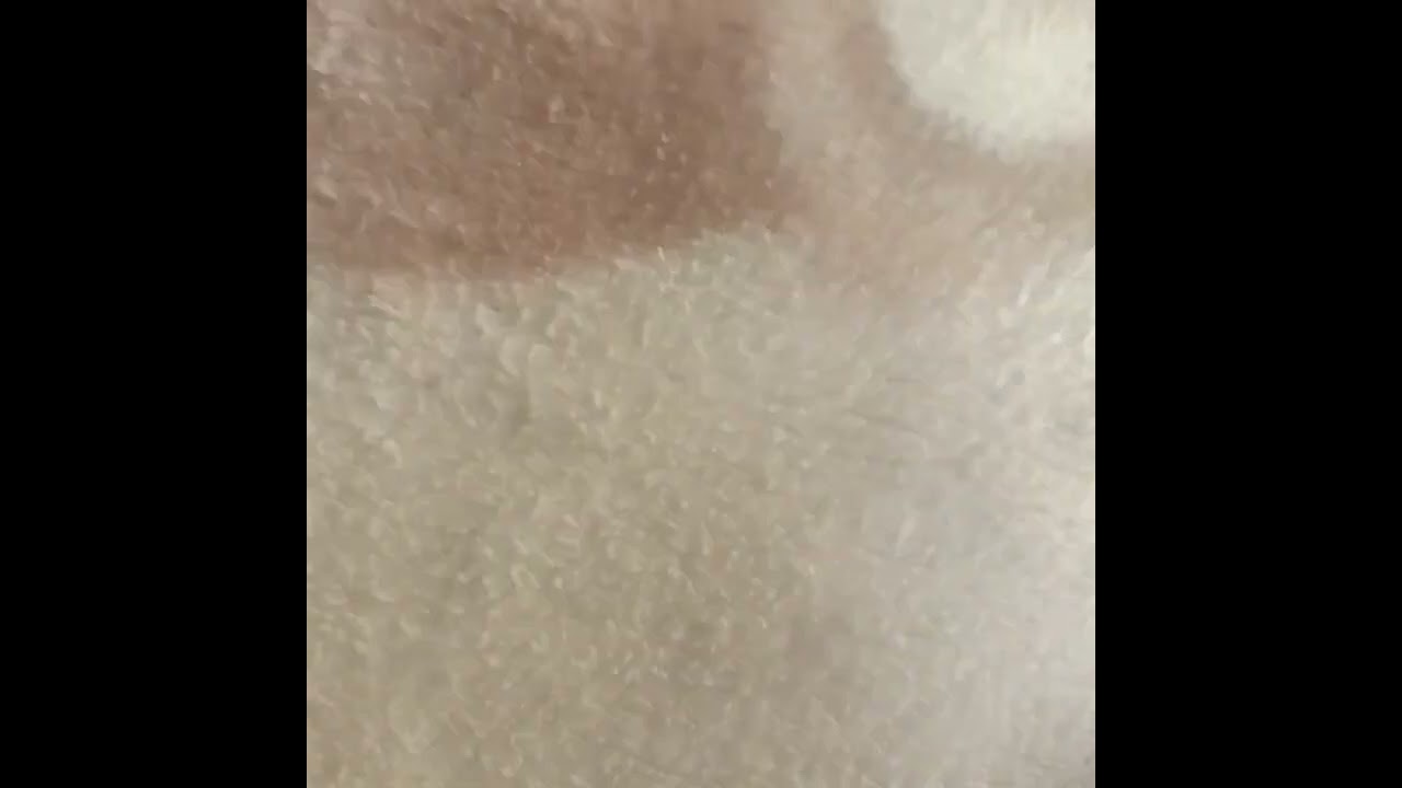 🎤🎤🎙🎙Respond to Tso Vilakazi & Junior Khanye 🔊🔊🔊🔊🔊🔊 Lets Respect Each Other🙏