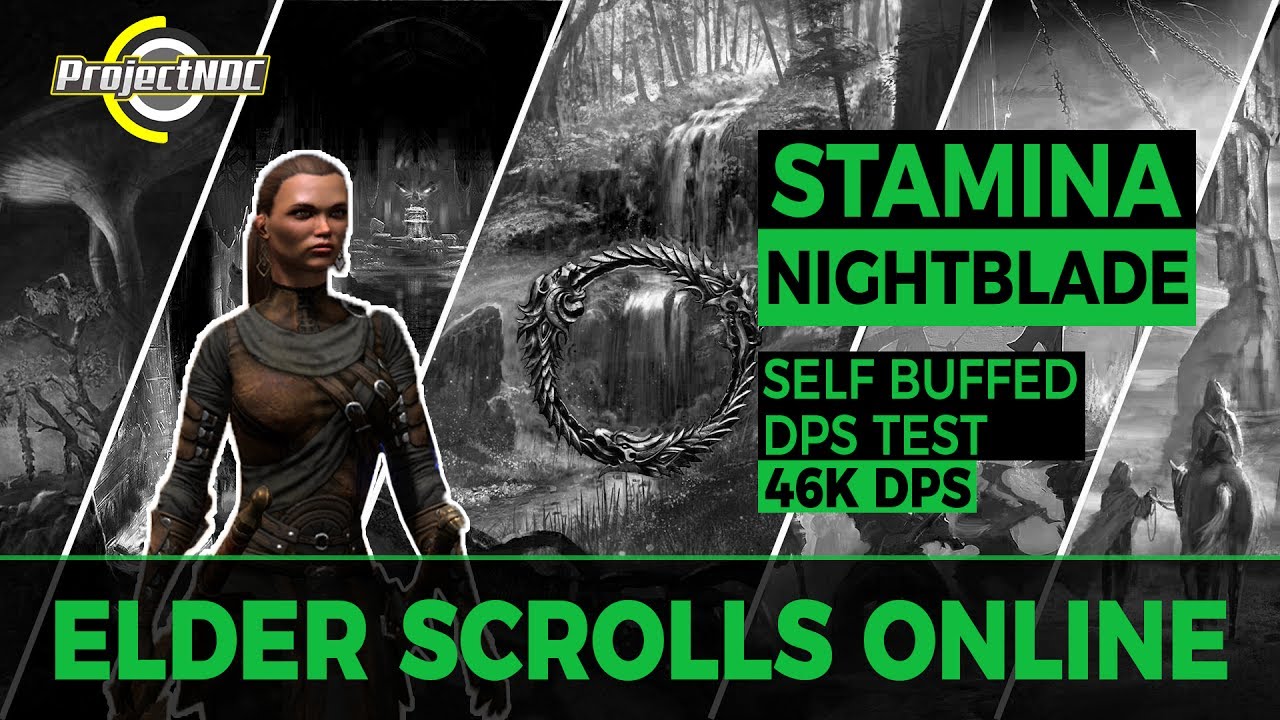 ESO - Stamina Nightblade: 46k Self Buffed Target Skeleton DPS Test