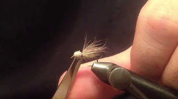 Tying a Bullet Head Caddis