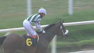 Vidéo de la course PMU PREMIO LEGION CAT