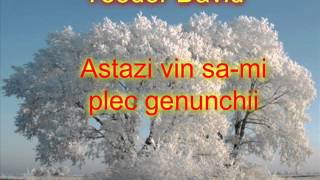 Video thumbnail of "Teodor David -  Astazi vin sa mi plec genunchii (2014)"