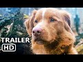 GOOD BOY Trailer 2 (2025)