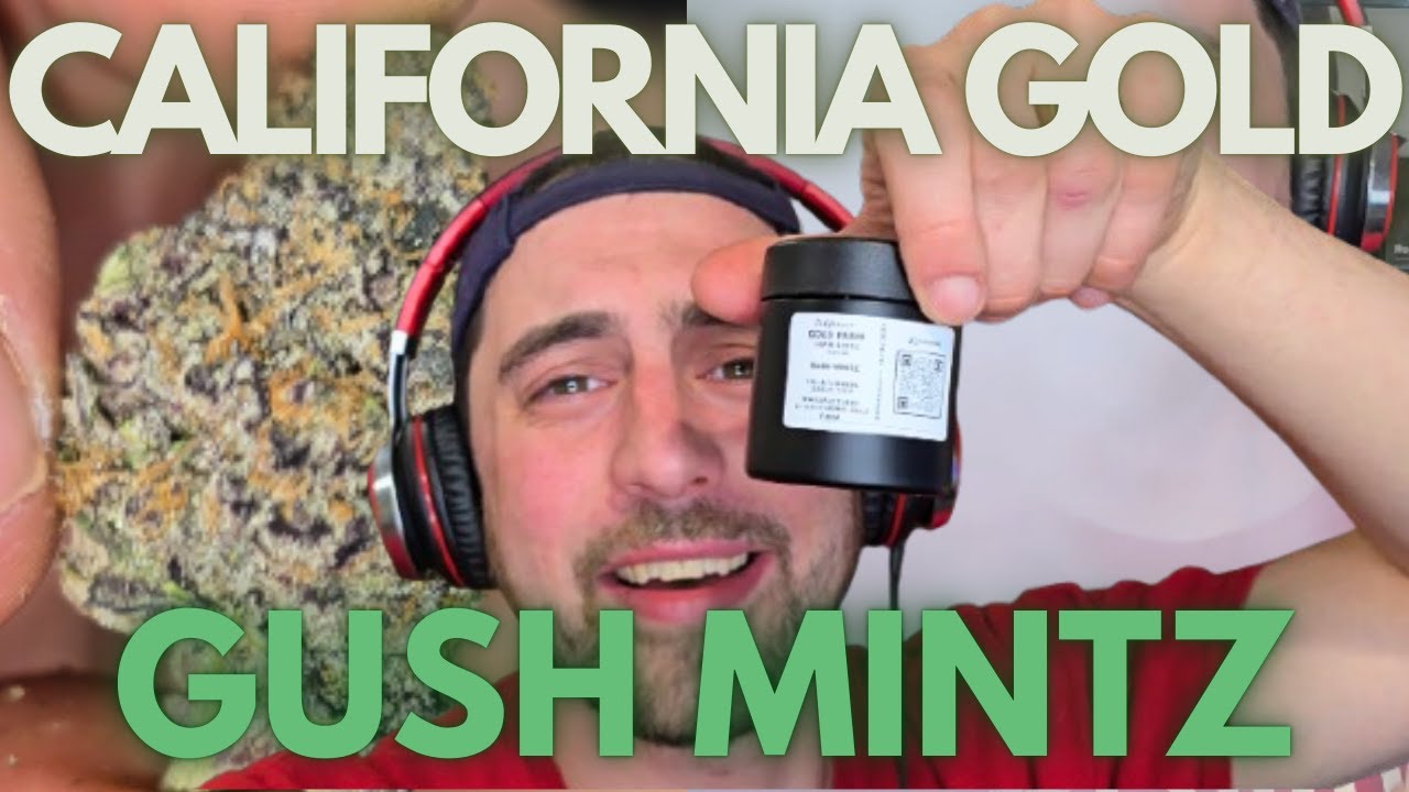 GUSH MINTZ BY CALIFORNIA GOLD FARMS? 🤫