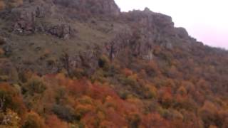 Soruscay Qizil Payiz