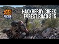 Hackberry creek trail  forest road 315  superior arizona