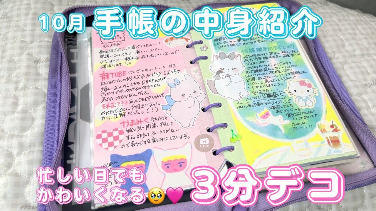 【手帳の中身】毎日忙しいんだから３分で激かわデコしちゃおうよ⏰🩵日記⌇推し活⌇時短