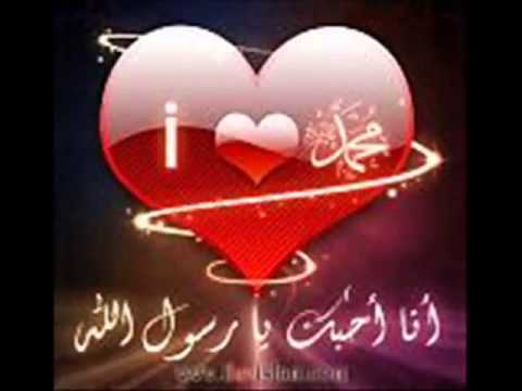 بالعقل والاحساس عمرو مصطفى YouTube 