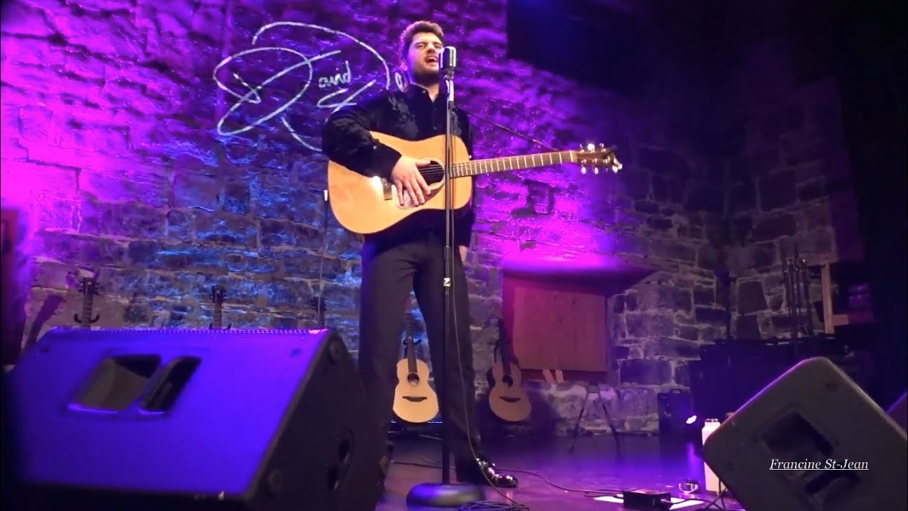 DAVID THIBAULT / Heartbreak Hotel - Cover - Elvis Presley (HD)
