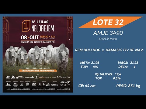 LOTE 32