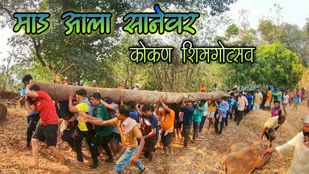 कोकण शिमगा ❣ माड आणण्याची पारंपरिक पद्धत 👌 Konkan Shimga, Holi - Kokan Shimgotsav | Kokankar Avinash