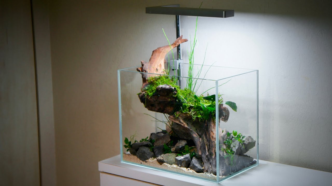 Making of the 'Anubias Stream' -Nano Aquascape Tutorial