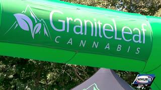 10 years of medical cannabis celebrated
