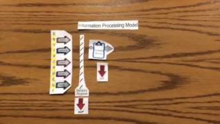 Information processing model