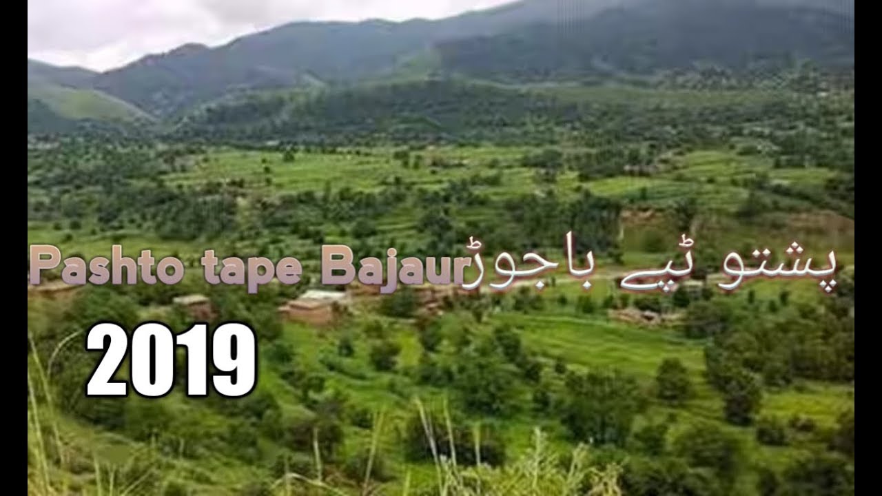 Pashto song bajaur gulona