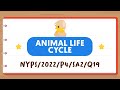 PSLE Science: Animal Life Cycles