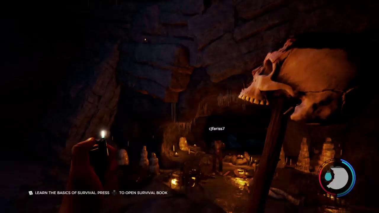 PLAYING THE FOREST FOR THE FIRST TIME!!!!