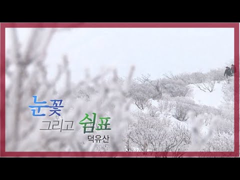 [다큐3일 다시보기] 눈꽃 그리고 쉼표 - <strong>덕유산</strong> [풀영상]