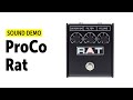 Proco rat distortion sound demo no talking with korg minilogue medusa and sh01a