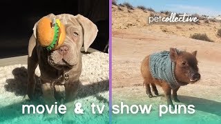 Animal Movie & TV Puns Animal Movie & TV Puns