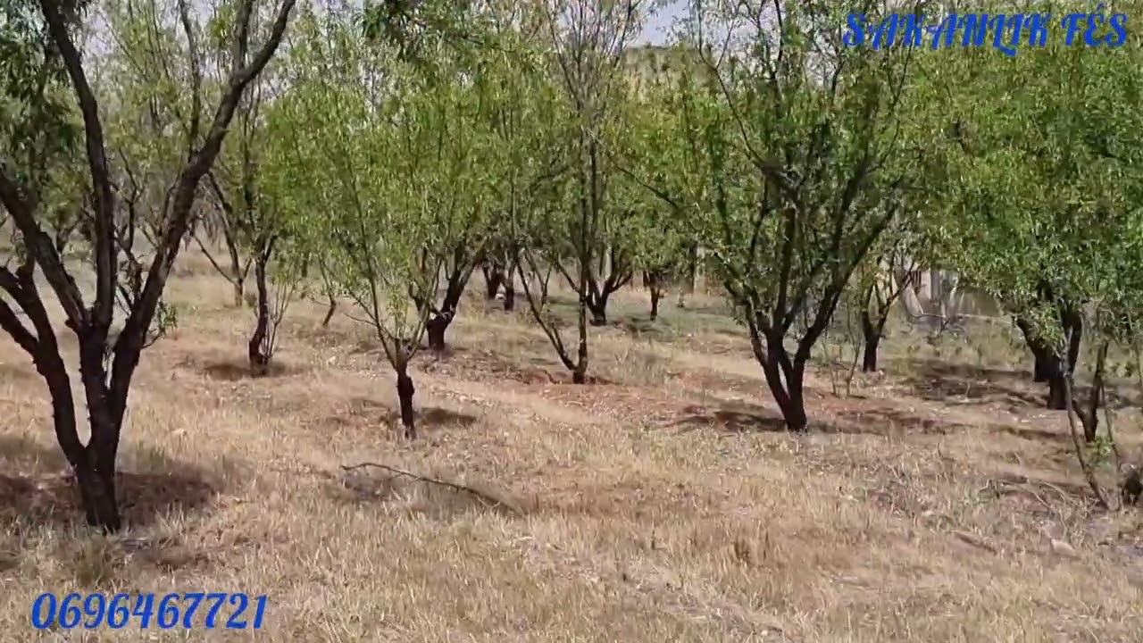 ضيعة فلاحية محفظة للبيع بين فاس و مكناس سبع عيون 17 هكتار و نصف FERME À VENDRE ENTRE FÉS ET MEKNÈS