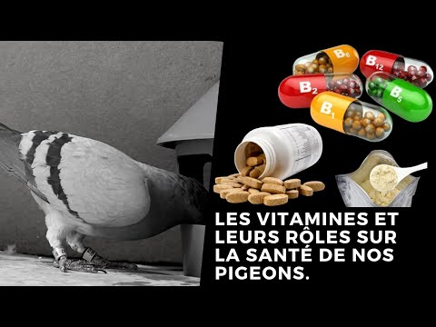 Video: Männer Fitness macht - Oat bedeckt Huhn mit Feta-Käse