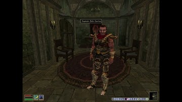 Day 184 - Killing Every NPC Until Elder Scrolls 6 is Released