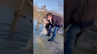 Find a man who does whatever it takes to clean his dog‘s dirty bum like this #corgi #shorts #dogs