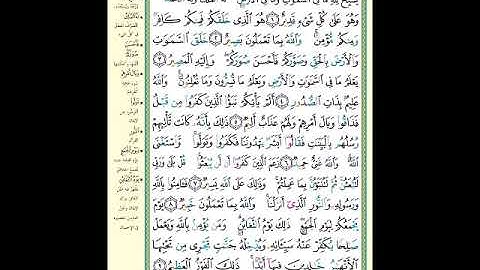 الصفحة (556) من المصحف الشريف ( سورة التغابن - مشروع حفظ القرآن الكريم )