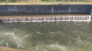 Baixo Mondego (Ribeira de Frades - Coimbra). Descarregador de bico de pato.