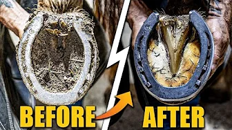 Satisfying FULL- Horse Hoof Restoration! | 4K FARRIER ASMR