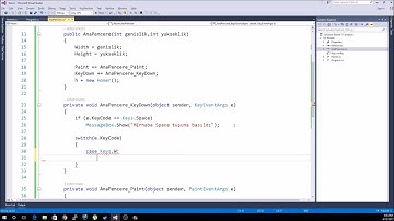 C# ile Nesneye Dayalı Programlama Resim Dosyası Çizimi 2/2