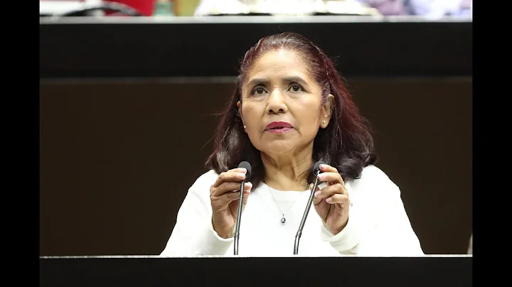 Dip. Graciela Snchez Ortiz (MORENA) / Anlisis en m...