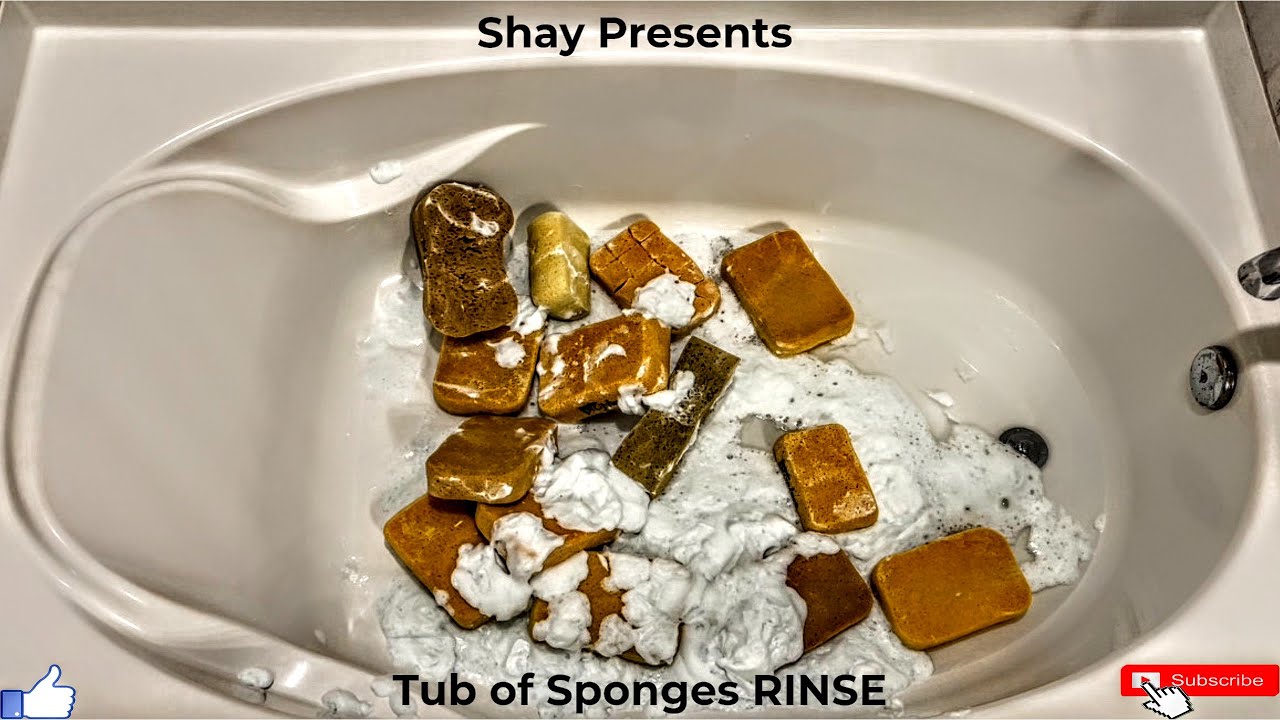ВАННА полная ASMR Astonish Sponge Squeezing Sponge Sponge RINSING