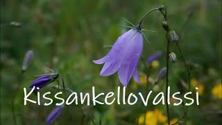 Kissankellovalssi by SDGforever1 754 views 2 years ago 3 minutes, 17 seconds